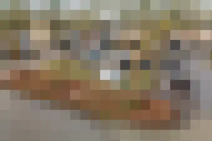Zwaluwenveld 24 Emmen thumbnail 41