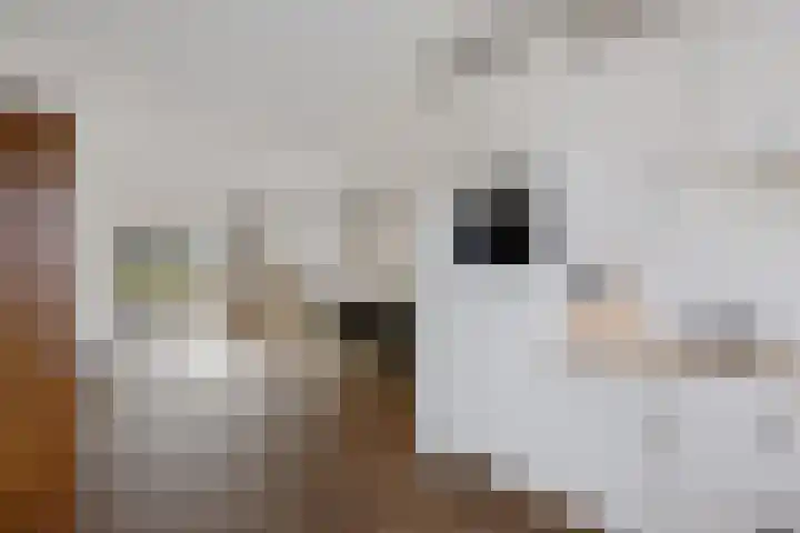 Zwaluwenveld 24 Emmen thumbnail 5