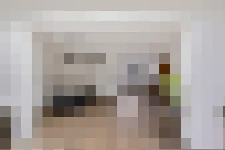 Zwaluwenveld 24 Emmen thumbnail 6