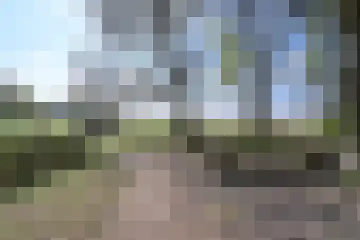 Zwaluwlaan 14 Bussum thumbnail 15