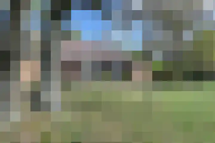 Zwaluwlaan 14 Bussum thumbnail 16