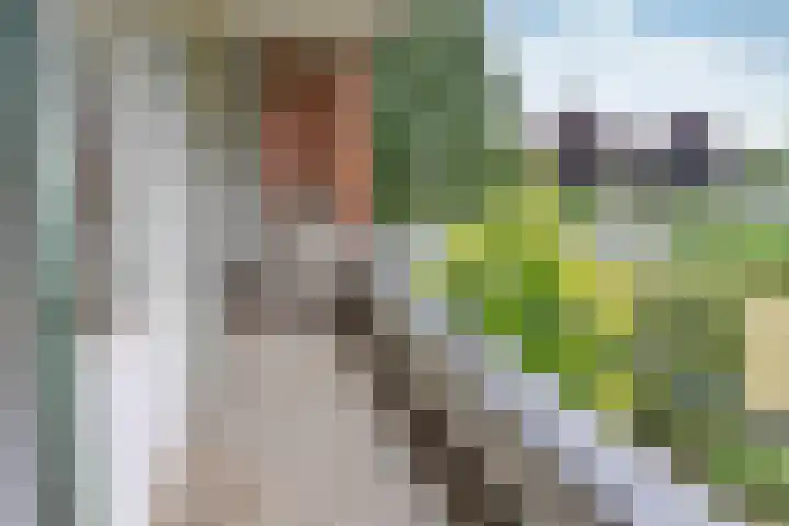 Zwaluwlaan 14 Bussum thumbnail 7