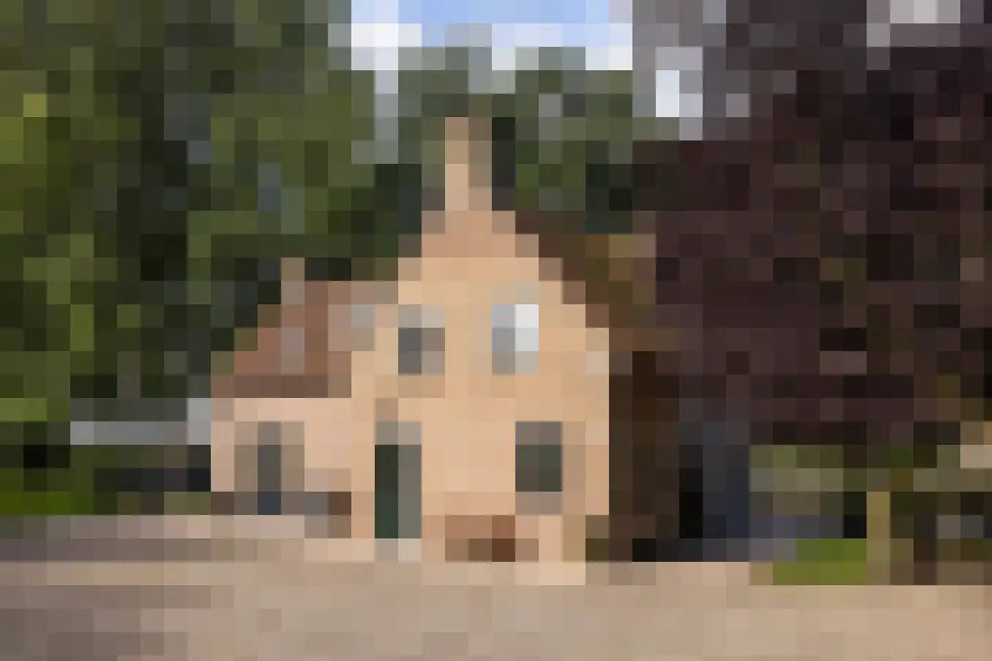 Zwaluwsedijk 5 en Lage Zwaluwe