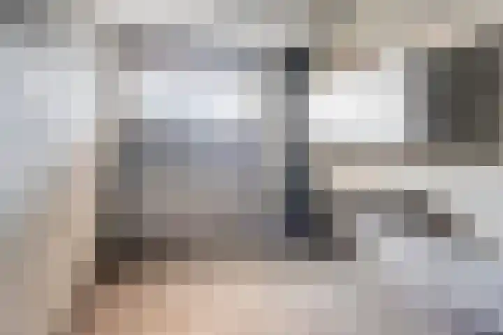 Zwaluwstraat 145 Horst thumbnail 17