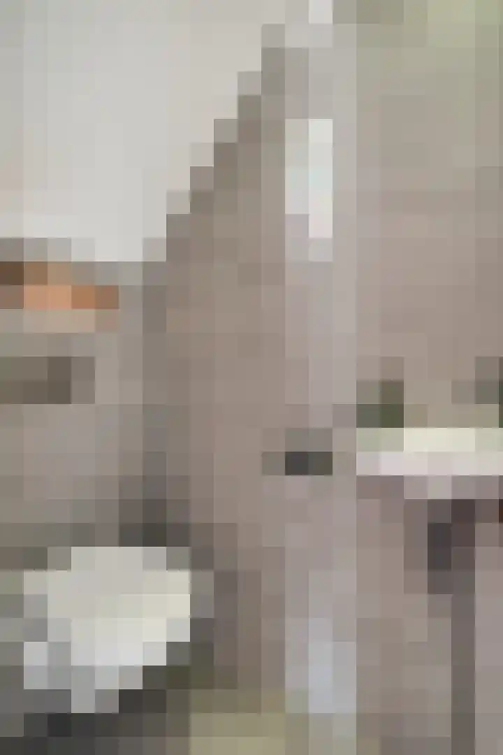 Zwaluwstraat 23 Didam thumbnail 11