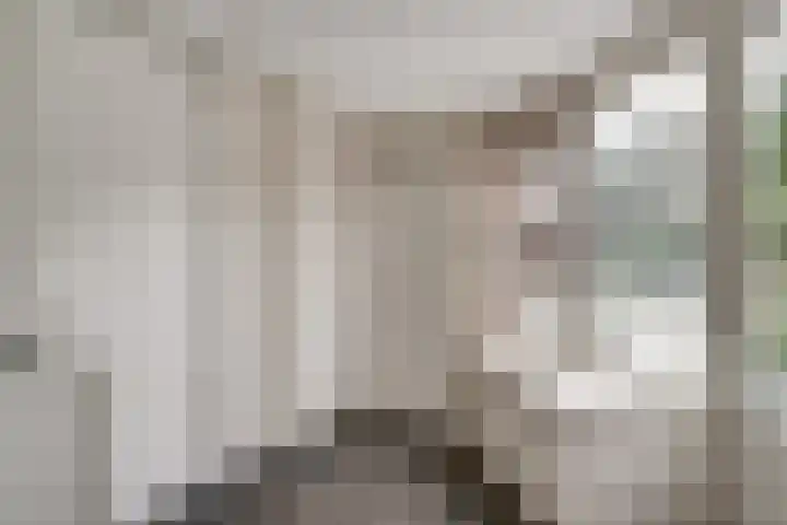 Zwaluwstraat 23 Didam thumbnail 23