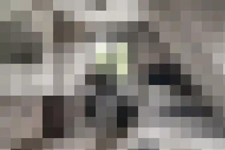 Zwaluwstraat 23 Didam thumbnail 36