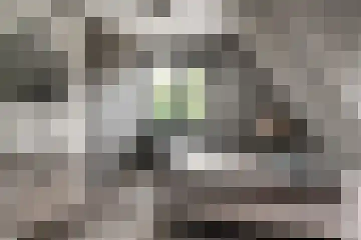 Zwaluwstraat 23 Didam thumbnail 38