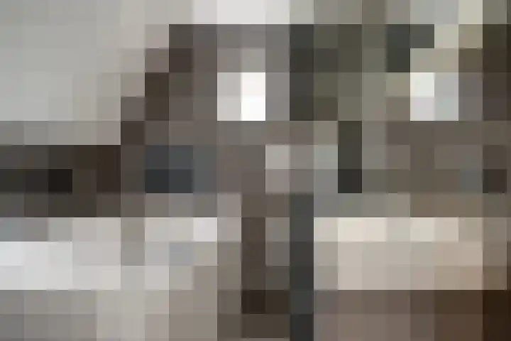 Zwaluwstraat 23 Didam thumbnail 40