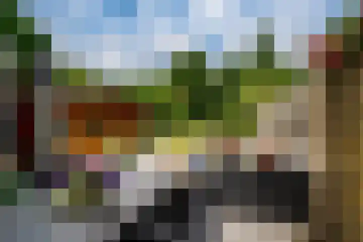Zwaluwstraat 23 Didam thumbnail 49