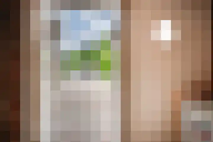 Zwaluwstraat 23 Didam thumbnail 58