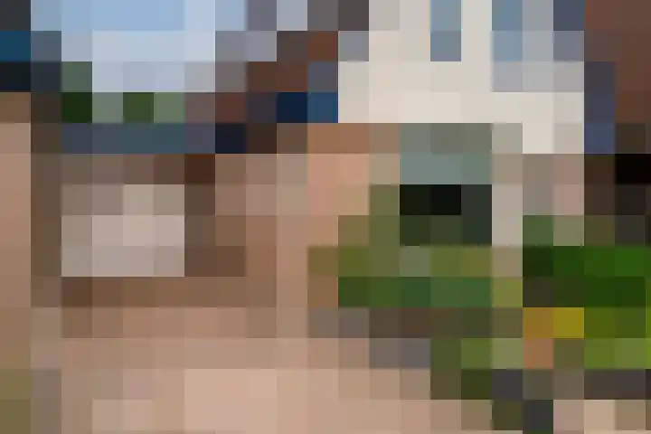 Zwaluwstraat 23 Didam thumbnail 7
