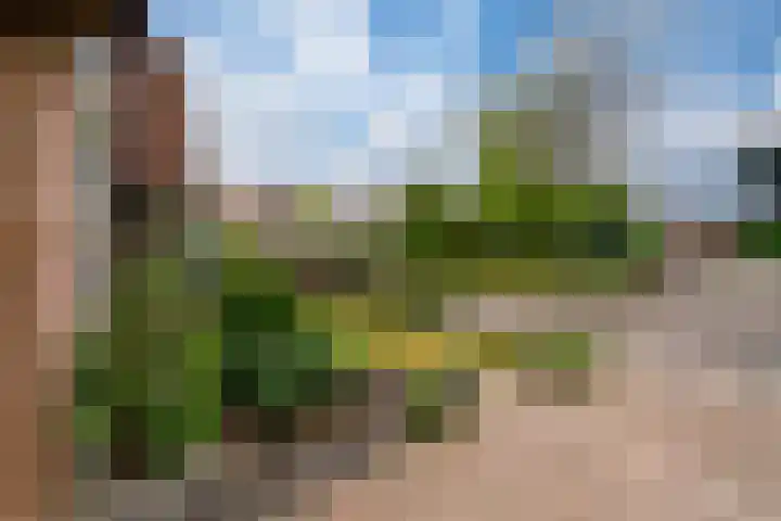 Zwaluwstraat 23 Didam thumbnail 8