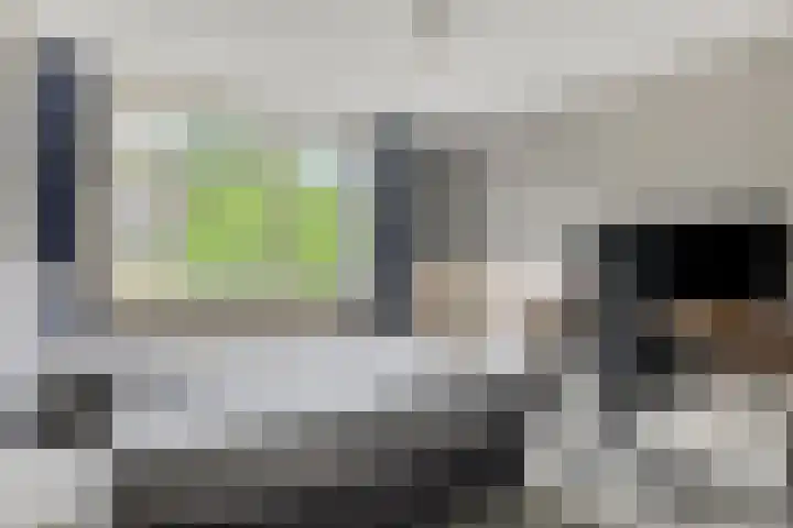 Zwaluwstraat 41 Goor thumbnail 31