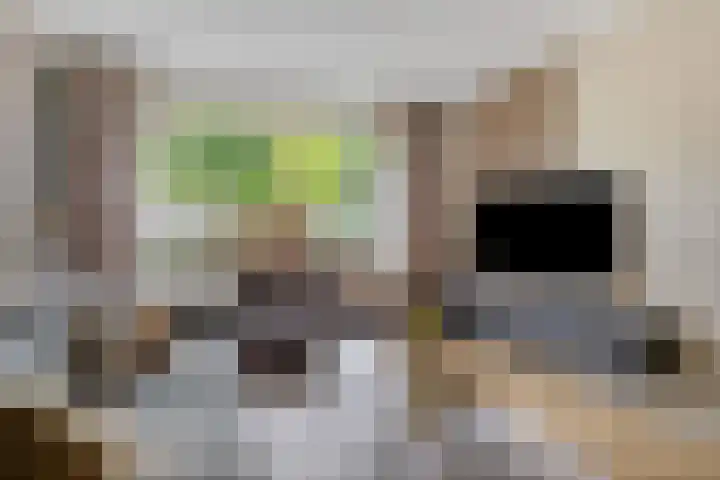 Zwaluwstraat 41 Goor thumbnail 4