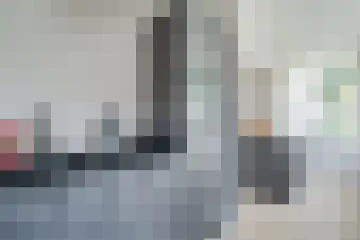 Zwanebloem 2 Odijk thumbnail 12