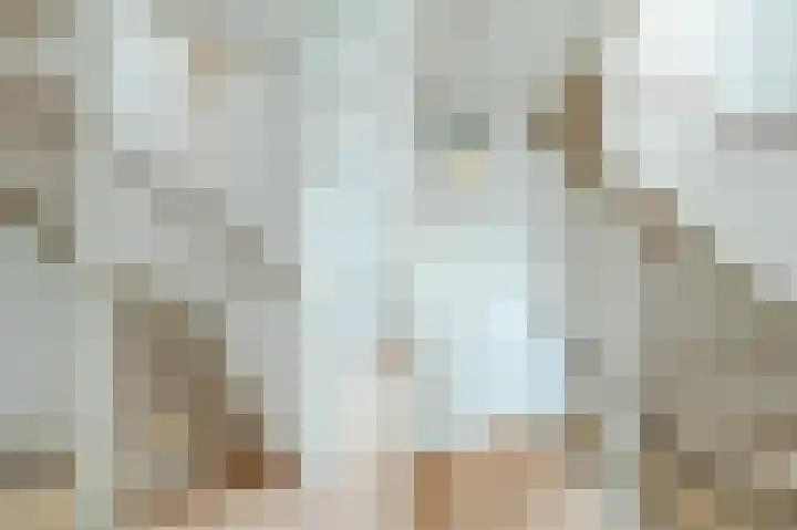 Zwanebloem 2 Odijk thumbnail 25