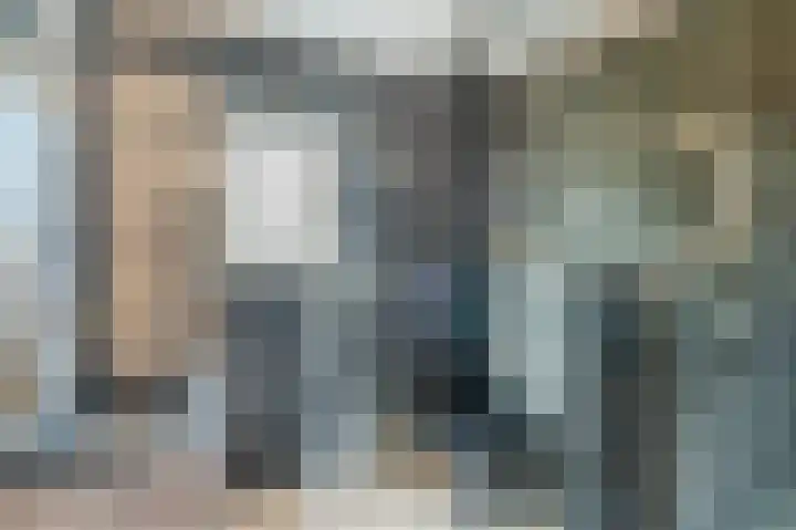 Zwanebloem 2 Odijk thumbnail 26