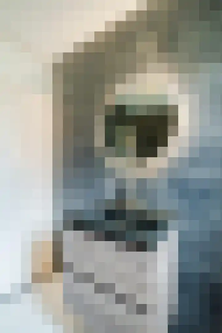 Zwanebloem 2 Odijk thumbnail 27