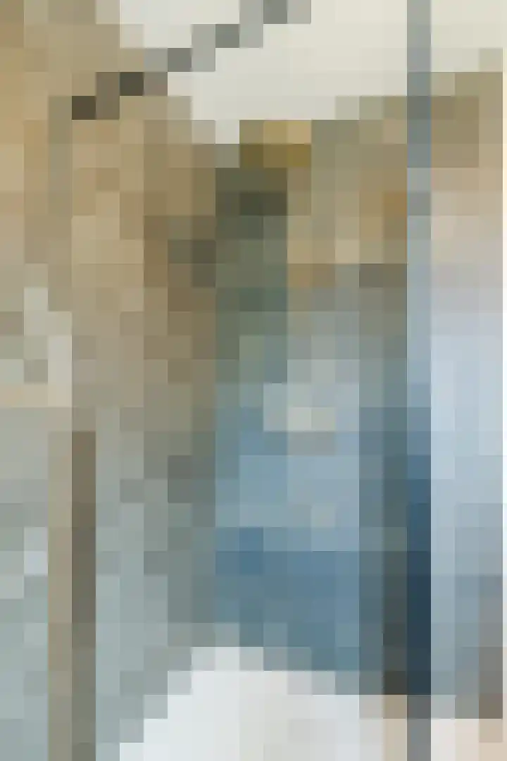 Zwanebloem 2 Odijk thumbnail 28