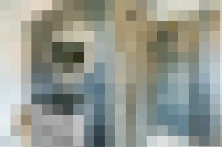Zwanebloem 2 Odijk thumbnail 29