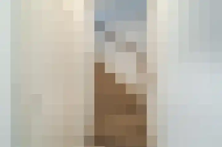 Zwanebloem 2 Odijk thumbnail 30