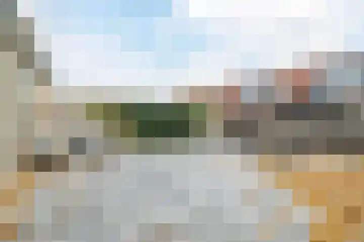 Zwanebloem 2 Odijk thumbnail 34