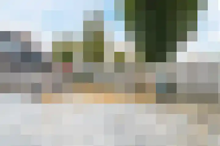 Zwanebloem 2 Odijk thumbnail 35