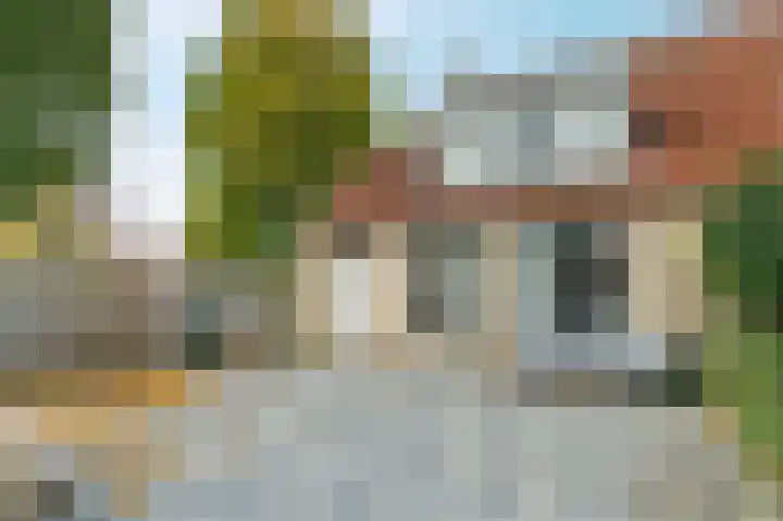 Zwanebloem 2 Odijk thumbnail 36
