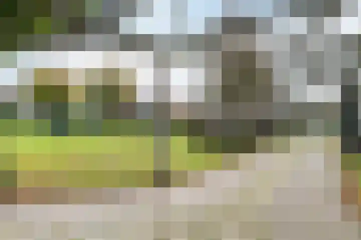 Zwanebloem 2 Odijk thumbnail 38