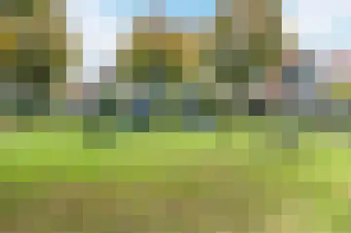 Zwanebloem 2 Odijk thumbnail 39