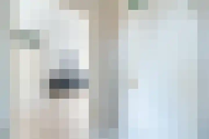 Zwanebloem 2 Odijk thumbnail 4