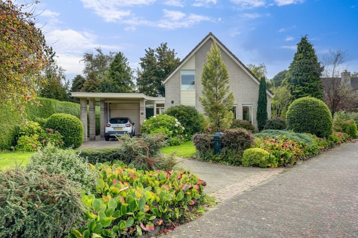 Zwanebloem 32 in Hoogeveen foto