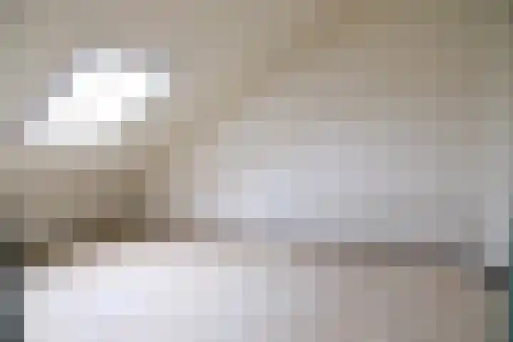 Zwanebloem 7 Culemborg thumbnail 16