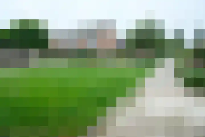 Zwanebloem 7 Culemborg thumbnail 19
