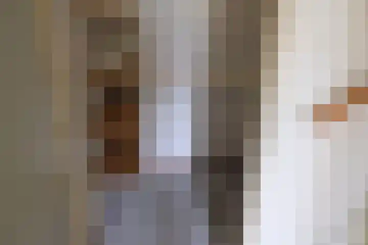 Zwanebloem 7 Culemborg thumbnail 5