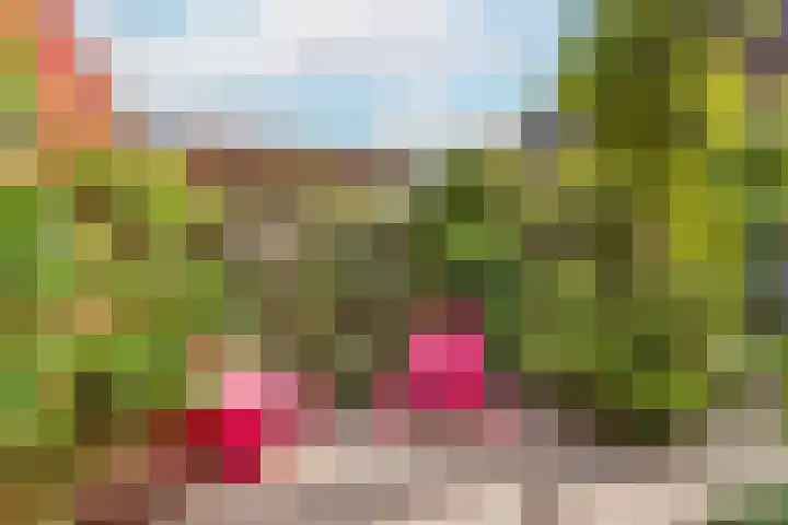 Zwanebloem 7 De Meern thumbnail 10