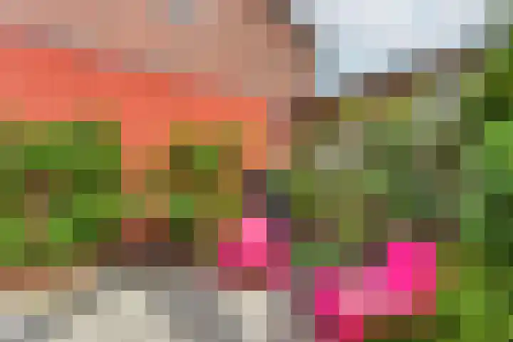 Zwanebloem 7 De Meern thumbnail 11