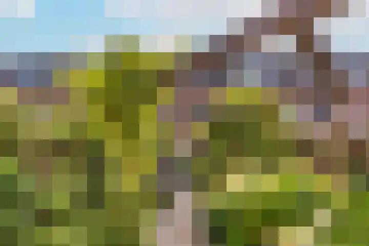 Zwanebloem 7 De Meern thumbnail 12