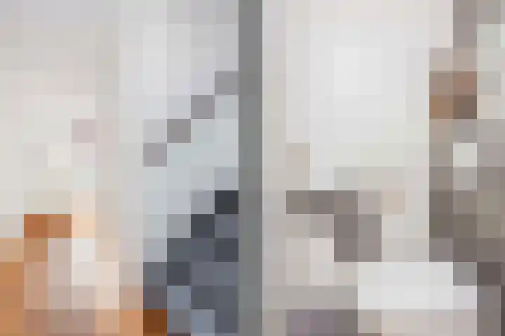 Zwanebloem 7 De Meern thumbnail 26