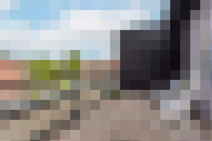 Zwanebloem 7 De Meern thumbnail 40