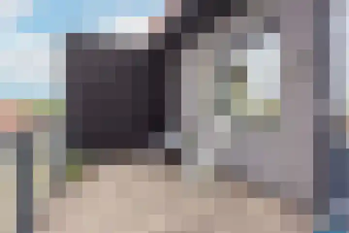 Zwanebloem 7 De Meern thumbnail 41