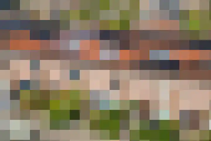 Zwanebloem 7 De Meern thumbnail 46