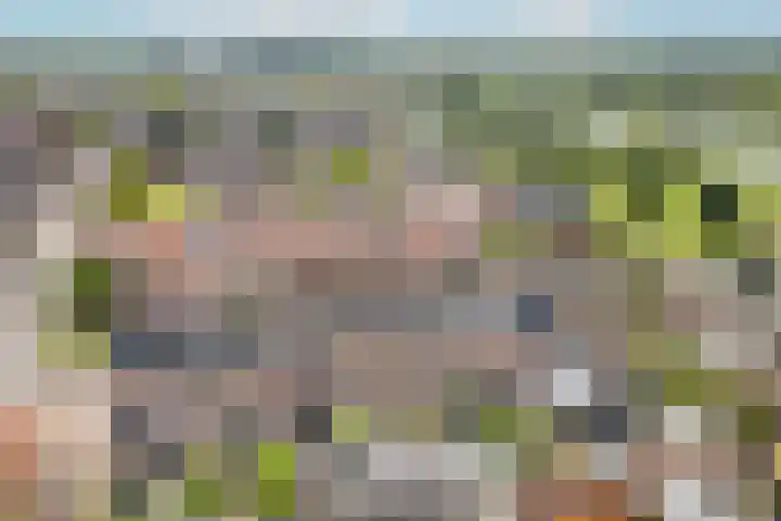 Zwanebloem 7 De Meern thumbnail 48