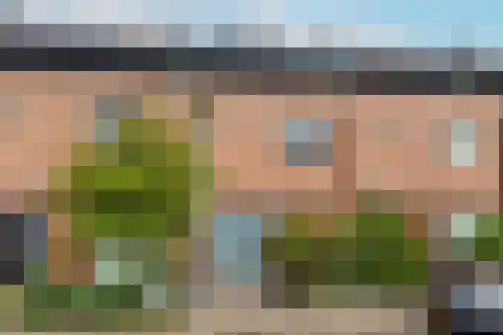 Zwanebloem 7 De Meern thumbnail 50