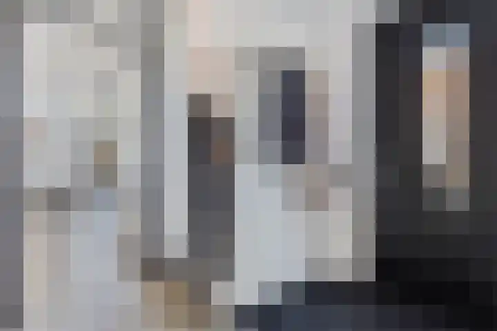Zwanenbloem 45 Elst thumbnail 11