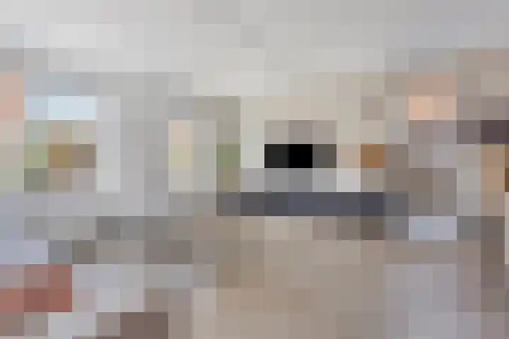 Zwanenbloem 45 Elst thumbnail 12