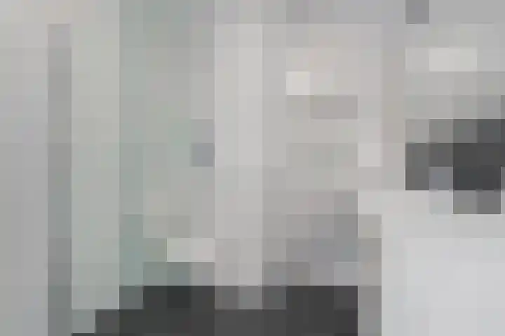 Zwanenbloem 45 Elst thumbnail 24