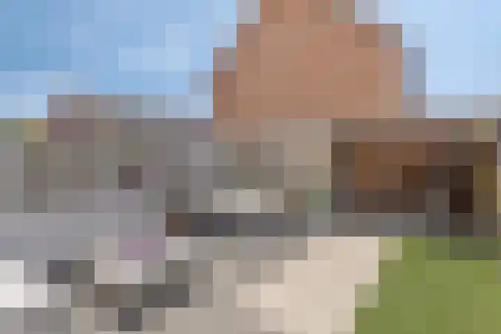 Zwanenbloem 45 Elst thumbnail 35