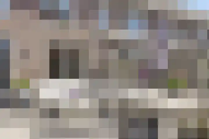 Zwanenbloem 45 Elst thumbnail 37